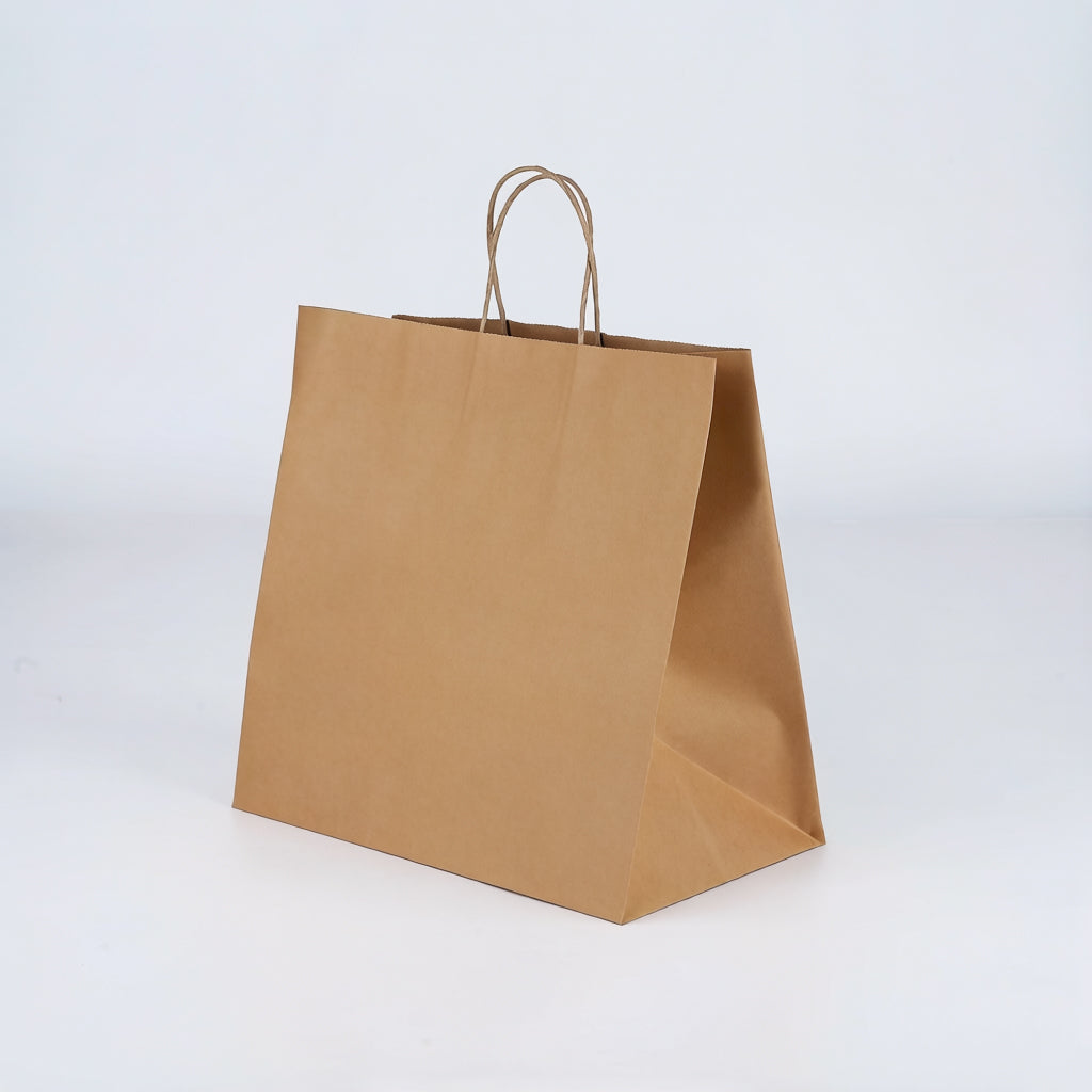 Large Paper Bag with Handles - 305 x 305 x 180 mm