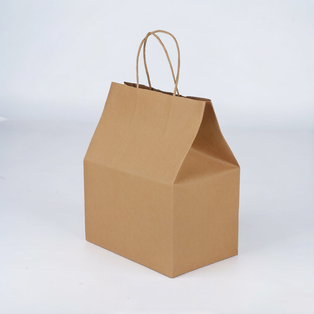 Small Paper Bag with Handles - 210 x 270 x 140 mm