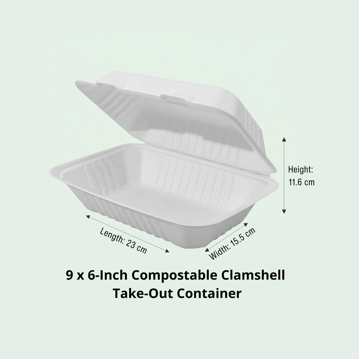 Sugarcane Clamshell Container - 9 x 6 in